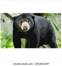 a black bear in vector