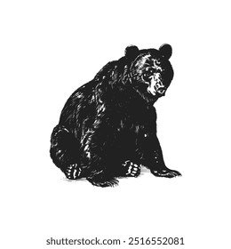Oso Negro. Diseño de Ilustración vectorial.