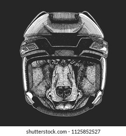 Black bear Wild animal wearing hockey helmet. Print for t-shirt design.