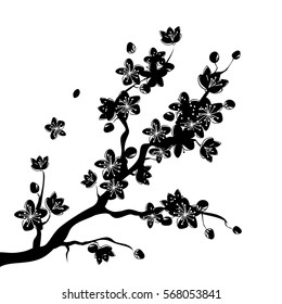 Black beautiful sakura or cherry blossom branch with flowers drawn in japanese style. vector illustration design.