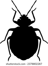 Black Bedbug isolated on white background. Bedbug silhouette, Handdrawn Bedbug silhouette illustration 