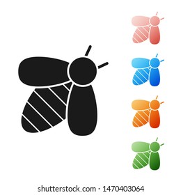 Black Bee icon isolated on white background. Sweet natural food. Honeybee or apis with wings symbol. Flying insect. Set icons colorful. Vector Illustration
