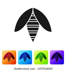 Black Bee icon isolated on white background. Sweet natural food. Honeybee or apis with wings symbol. Flying insect. Set icons in color square buttons. Vector Illustration