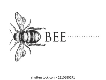 black bee line drawing vector on white background