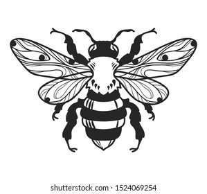 Mechanical Bee Steampunk Illustration Tshirt Design Stock Vector ...