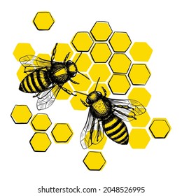 Black bee sketch template in modern style on white background. Summer natural organic food. Line art
