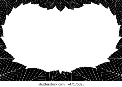 Black beech leaf on a white background - vector frame, (Fagus sylvatica)