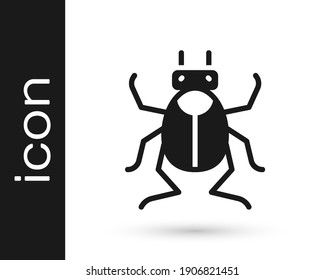 Black Beetle bug icon isolated on white background.  Vector