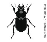 Black beetle insect silhouette vector