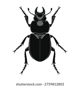 Black beetle insect silhouette vector