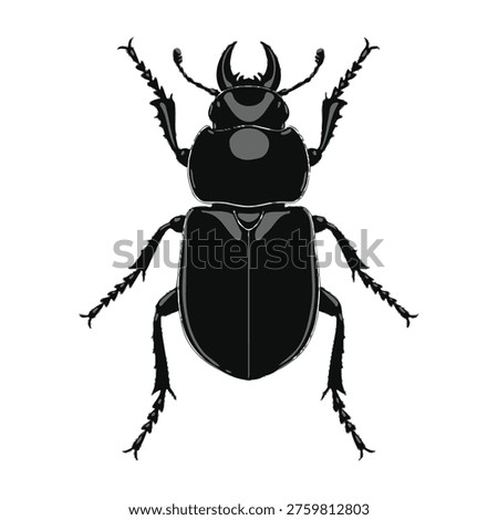 Black beetle insect silhouette vector