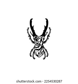 black beetle insect vector illustration