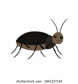 Black beetle on a white background vector illustration