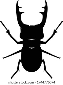 black beetle with open jaws