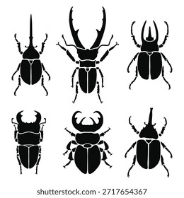 Siluetas de escarabajo negro sobre fondo blanco