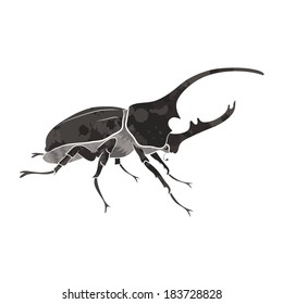 black beetle vector