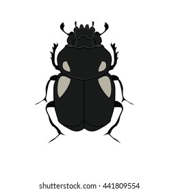 Black beetle vector illustration. Black insect icon.