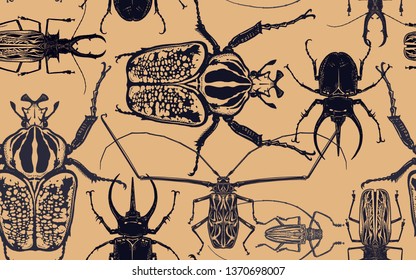 Black beetles isolated on gold background. Seamless pattern with insect. Sketch of bug. Realistic drawing. Vector illustration.