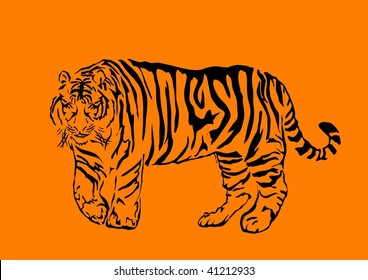 Black bengal tiger isolated on orange background, vector illustration