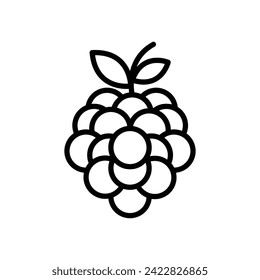 black berry icon vector design template simple and clean