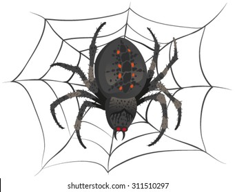 Black big scary spider sitting center of web. Illustration