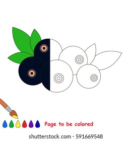 Black Bilberry, the coloring book to educate preschool kids with easy gaming level, the kid educational game to color the colorless half by sample.