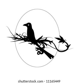 Black Bird