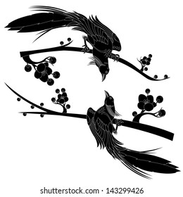 black bird