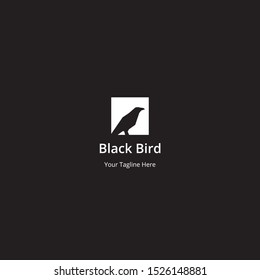 Black Bird Animals Logo Template