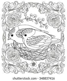 Black bird babies in Nest, little  nestling in persian buttercup frame, spring vector design for colouring book