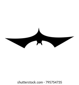 Black Bird Bat