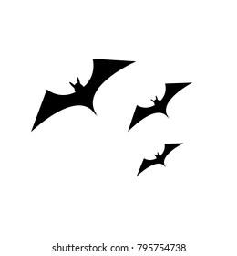 Black Bird Bat