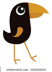 Black bird with big beak  illustration color vector on white background