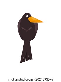 black bird cartoon on white background