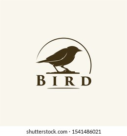 black bird concept - logo design