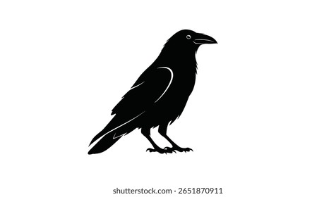 Silhueta de corvo de pássaro preto de pé sobre um fundo branco vetor ilustração arte