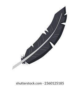 Black bird feather on white background.