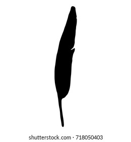 Black bird feather silhouette on white background. Vector illustration