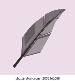 black bird feather vector illustration