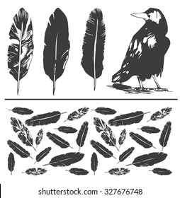 black bird and feathers