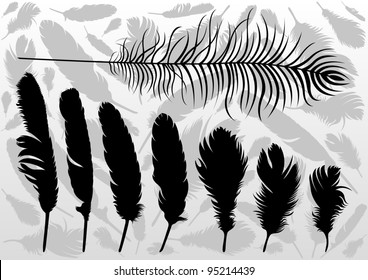 Black bird feathers illustration collection background vector