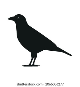 Black bird, flat minimalist vector illustration symbol