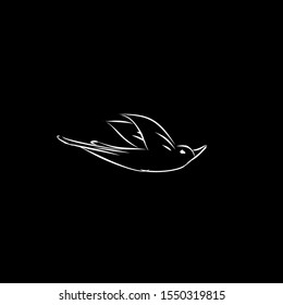 Black bird flying so high