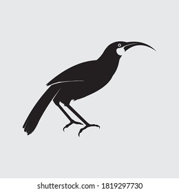 black bird huia vector design