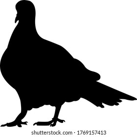 Black bird icon.  bird illustration