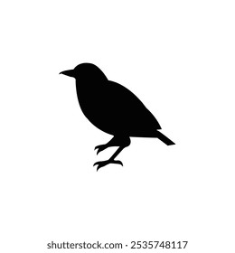 Black bird isolated onb white background. Illustration of a bird.