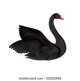 Black bird isolated over white background. Swans silhouette
