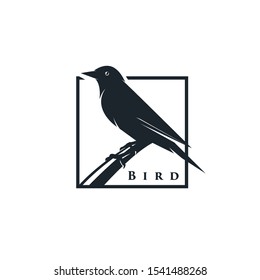 Black Bird Logo Design Vector