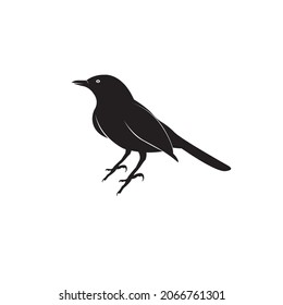 Black Bird Logo Design Vector Fly For Business Company Modern Concept