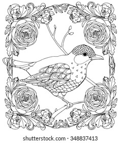 Black bird or merl  in persian buttercup frame, spring vector design for colouring book